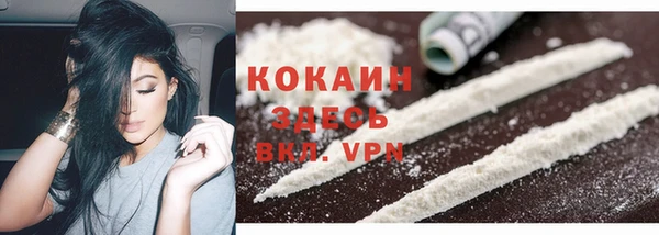 спайс Алексин
