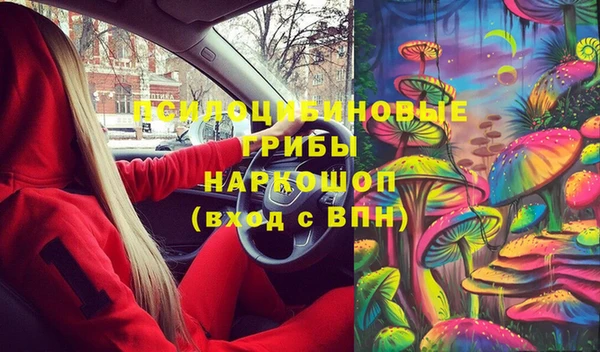 амф Абинск