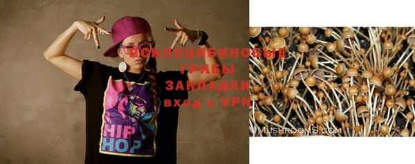 спайс Алексин